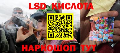 ПСИЛОЦИБИНОВЫЕ ГРИБЫ Нальчик