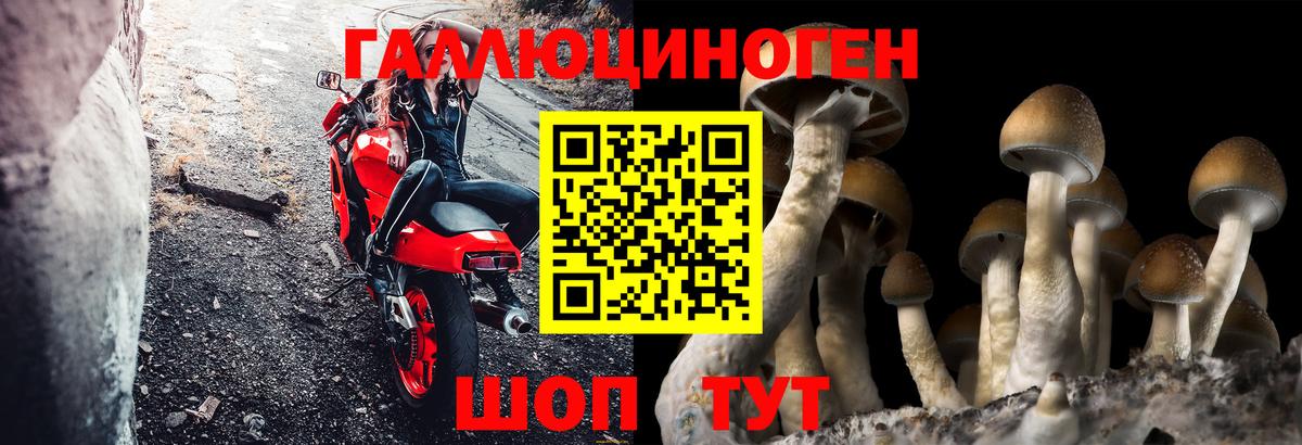 Галлюциногенные грибы Magic Shrooms Чехов