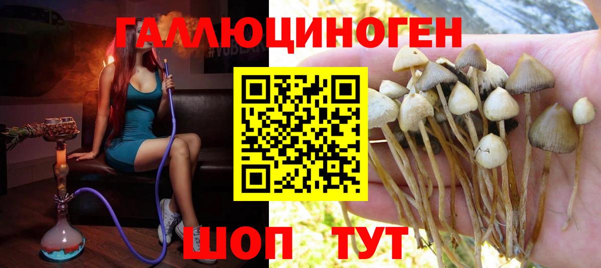 Чехов  Псилоцибиновые грибы мухоморы  Вход с VPN 